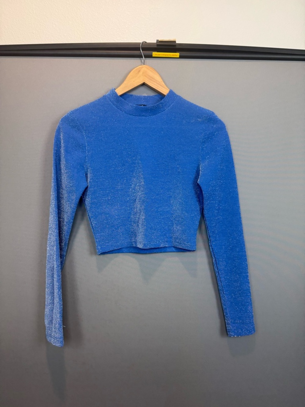 Metallic Blue Long-Sleeve Crop Top